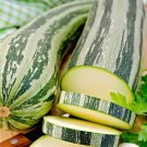 25 Cocozelle Squash Seeds for Garden Planting