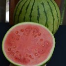 50 Tiger Baby Watermelon Seeds for Garden Planting
