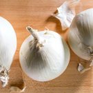 500 White Onion Seeds for Garden Planting