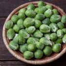 500 Nautic Brussels Sprouts Seeds for Garden Planting