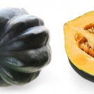 25 Acorn Squash Seeds for Garden Planting