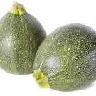 25 Eight Ball Zucchini Squash Seeds for Garden Planting