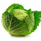 500 Savoy (Curly) Cabbage Seeds for Garden Planting