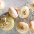 500 Cipollini (Italian Pearl) Onion Seeds Planting