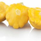25 Pattypan Squash Seeds for Garden Planting