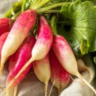 500 French Dressing Radish Seeds for Garden Planting