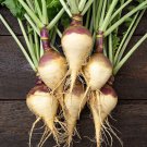 500 Helenor Rutabaga Seeds for Garden Planting