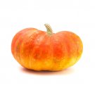 25 Cinderella Pumpkin Seeds for Garden Planting