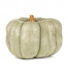 25 Blue Doll Pumpkin Seeds for Garden Planting