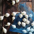 500 White Cocktail (Pearl) Onion Seeds Garden Planting