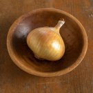 500 Walla Walla Sweet Onion Seeds for Garden Planting