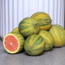 Pink Variegated Eureka Lemon Tree 24-36" Tall Live Citrus Plant Gallon