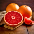 Ruby Red Grapefruit Tree 26-30" Tall Live Citrus Plant Gallon Grafted