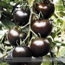 Rare Hybrid Black Middle-sized Fruit Edible Bright Seeds Vegetables