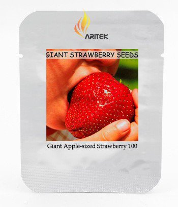 Super Red Strawberry Fruit Apple Maximus Sized, Professional 100 / Sweet Tast...