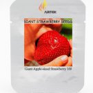 Super Red Strawberry Fruit Apple Maximus Sized, Professional 100 / Sweet Tast...
