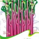 Red Chinese Kale 40 / Tasty Brassica Campestris Organic Vegetable Seeds, Orig...