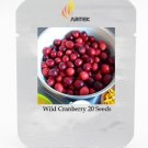 Wild Cranberry Vaccinium Macrocarpon Bearberry Fruit Professional 20 / Tasty ...