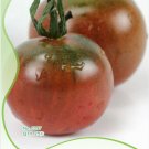1 25 / Chocolate Heirloom Tasty Fruit Original Pack, Seeds Bright Seeds,