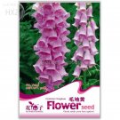 Beautiful Pink 50 easy to hardy perennial Foxgloves Seeds, grow drough...