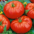 Beefmaster Hybrid F1 100 Professional tasty edible sweet Seeds, Pack, ...