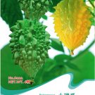 Bitter Melon Balsam Pear Fruit 6 / Seeds, Original Pack, Seeds Gourd Ve...