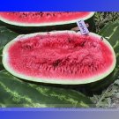 Yields Red Watermelon Professional 20 / Juicy Sweet Shelf Life High Legacy Lo...