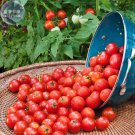 Husky Cherry Red Seeds