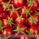 Small Round Rose Red Cherry Professional 100 / Hybrid Tasty Fruit 'Tonglin' S...