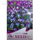 Perennial Small Pansy 30 quality potted ornamental Seeds, Original Package, s...