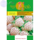 Strawberry Cream White Sweet Fruit 20 tasty home Seeds, origi...