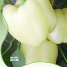 1 8 / White Sweet Bell Edible Original Pack, Seeds Seeds, Non-gmo Veget...