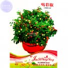 Bonsai 'Pearl' Chile 25 ornamental indoor capsioum Vegetables Seeds,...