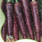 1 30 / Purple (Black) Carrot Superfood Colorful Yield Original Pack, seeds pa...