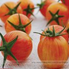Sunrise Bumble Bee Sweet Fruit Professional 100 / Cheerful Marbled Red Tangy ...
