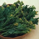 Broccoli - Early White professional 120 Sprouting Green Vegetable Seeds, pack...