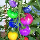 very rare imported rainbow bonsai fruit& Potted for BigFamily 100pcs Seeds ve...