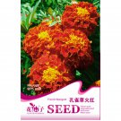 Fire Red French Annual 50 Home Marigold Seeds, Original Pack, Light Fr...