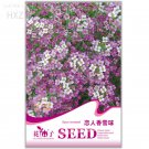 White Spice Snowball 50 quality potted ornamental Seeds, Original Package, se...