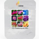 Heirloom Phalaenopsis Moth Orchid Perennial Bonsai Professional 100 / Seeds. ...