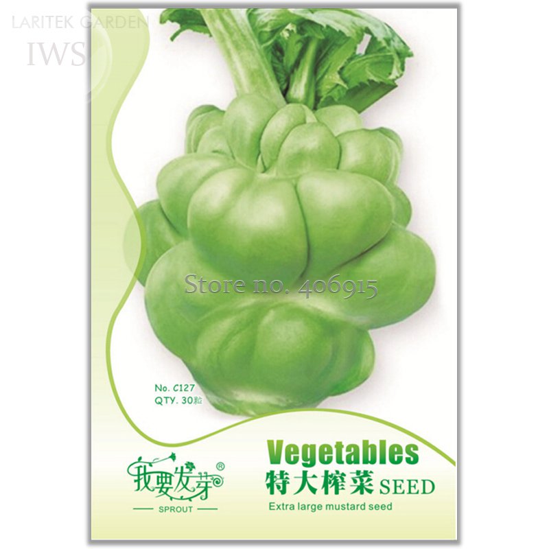 Heirloom Leaf Mustard Brassica juncea , 30 healthy Organic Green Vegetables S...