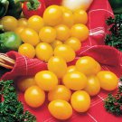 Ildi Professional 100 / Fabulous Sweet-tart Bite Yellow Cherry Seeds, Pack, S...
