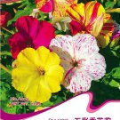 1 20 / FOUR O'CLOCK MIX BEAUTIFUL VIVID REDISH COLORED Original Pack, seeds p...
