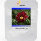 Rare 'Wu Jin Yao Hui' Dark Purple Peony Professional 5 / Up Strong Fragrant S...