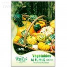 Ornamental Doll Pumpkin 10 fruit Seeds, Original Pack, interesting