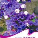 Blue Sea Lavender 30 / Statice Dry Limonium Sinuatum Seeds, Original Pack, Se...