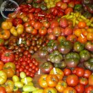 Mixed 27 Types of Different Family, 100 mini small middle heirloom seeds, lar...