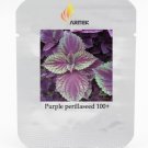 Heirloom Purple Professional 100 / Perillaseeds, Pack, Seeds Organic Re...