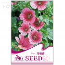 Beautiful Malope Trifida 30 ornamental up your Seeds, light garden