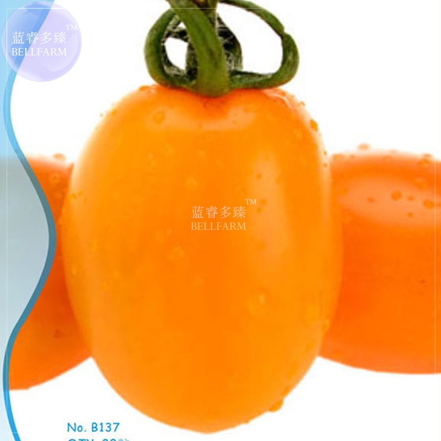 Yellow Middle Bonsai beautiful Mango-like 20seeds/original package, ...